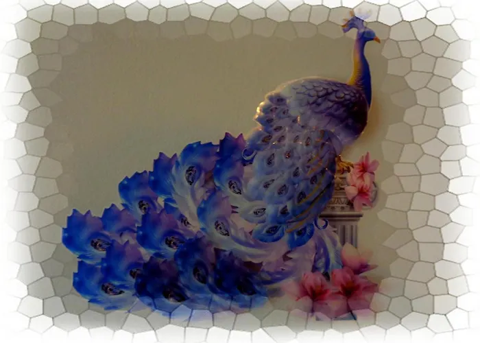 ~peacock House~ *