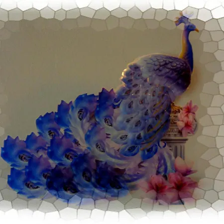 ~peacock House~ *