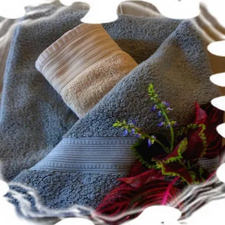 ~peacock House~ Apartment