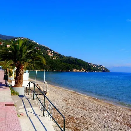 ~peacock House~ Ýpsos