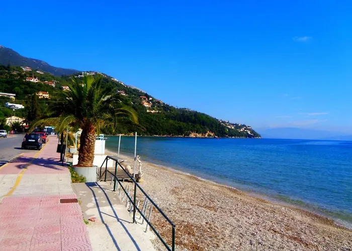 ~peacock House~ Ipsos